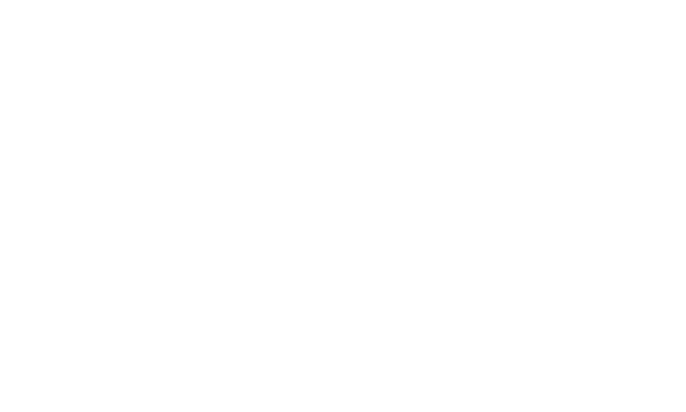 振るわせろ。