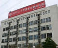 SHANGHAI DAISHINKU INTERNATIONAL TRADING CO., LTD.